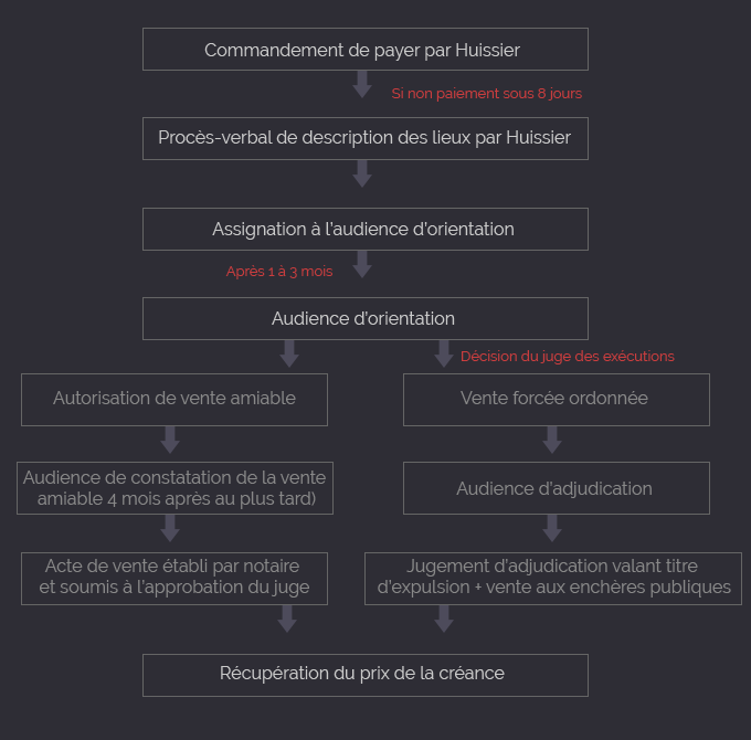 schema saisie immobiliere